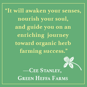 herb, organic, medicinal herbs