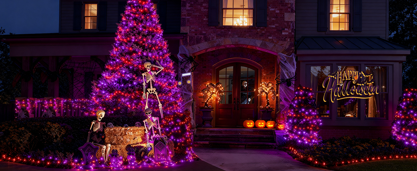 Halloween Decorations