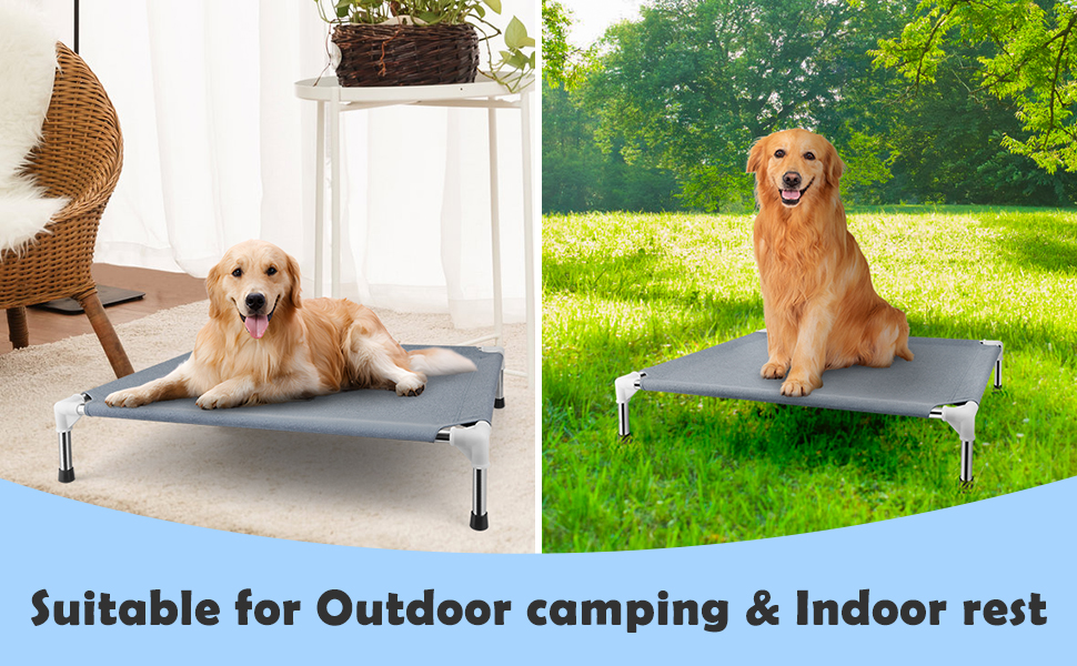 Raised Outdoor Dog Bed 5