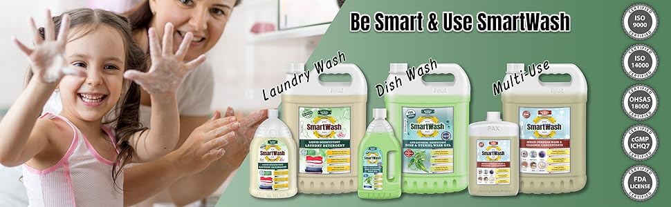 smartwash hand wash