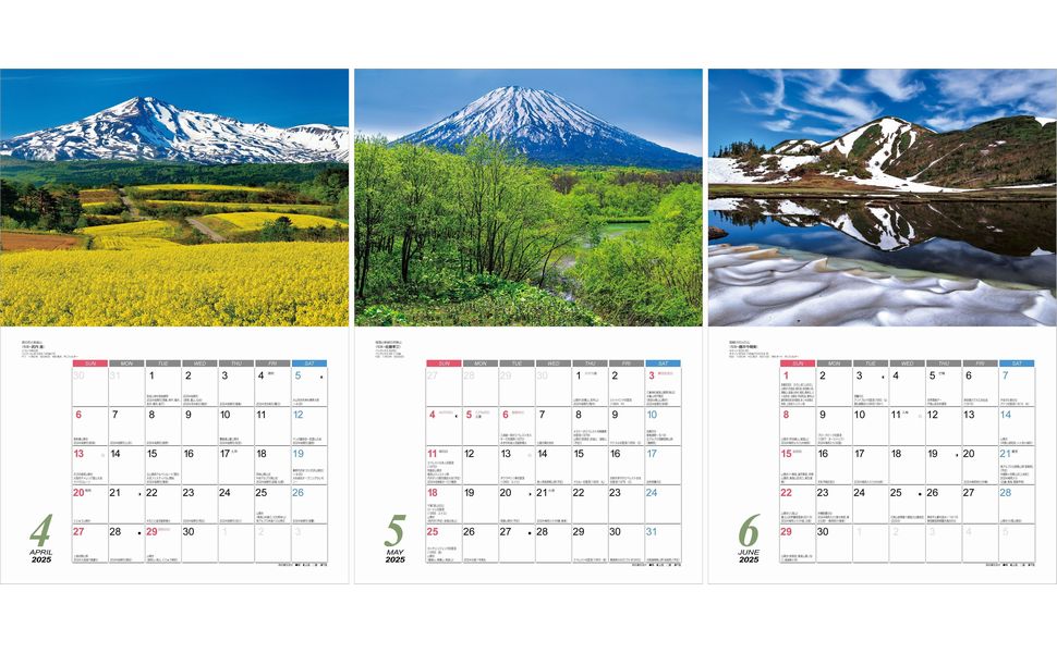超レア！山◯組カレンダー本物 2025年 壁掛けカレンダー 超レア！山◯組カレンダー本物 2025年 壁掛けカレンダー
