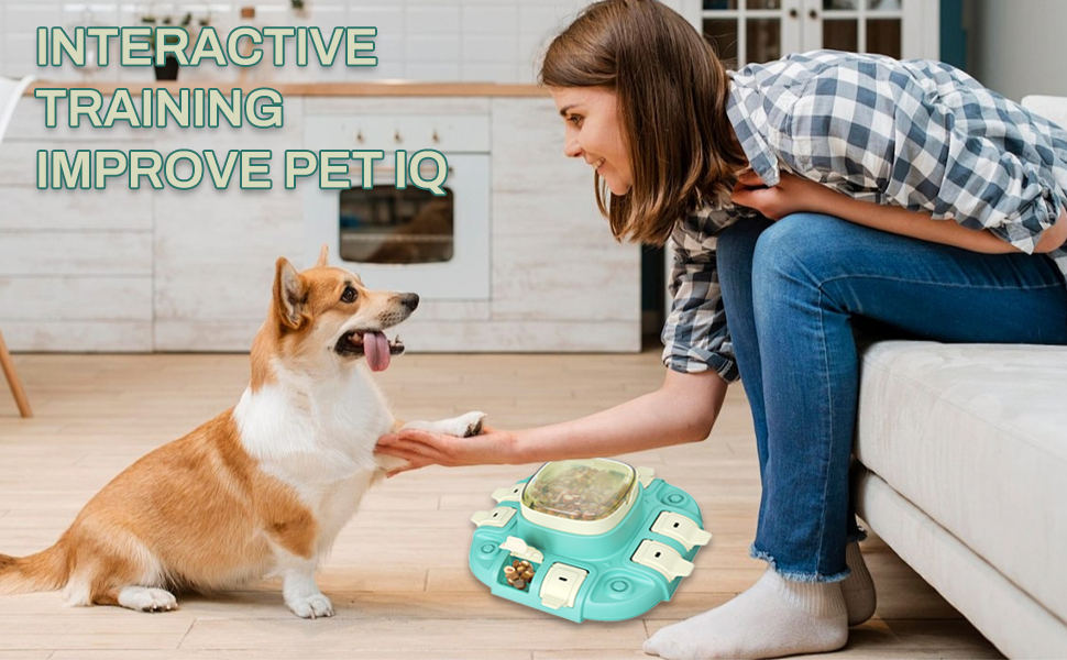 interactive dog toy