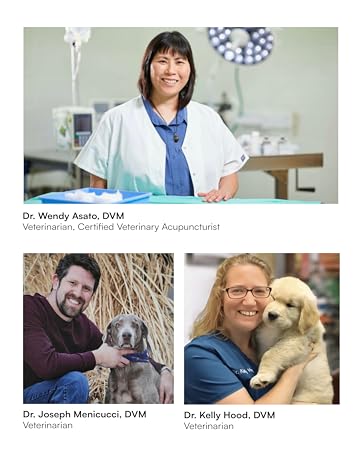 glucosamine for dogs hip and joint supplement, dog joint chews, bone and joint supplement for dogs