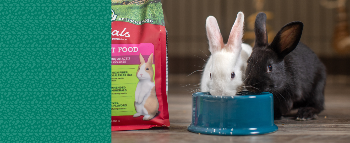 Oxbow Essentials Adult Rabbit Feed, rabbit food, small animal enrichment, feed for adult rabbits