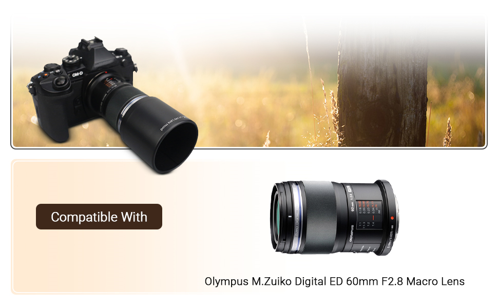 OLYMPUS 60mm マクロ レンズフード付 新品)OLYMPUS (オリンパス) レンズフード LH-49（ED60mmF2.8