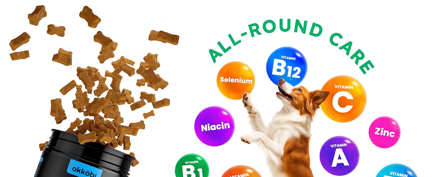 dog vitamins supplements and collagen multivitamin for dogs vitamin b senior gut defense