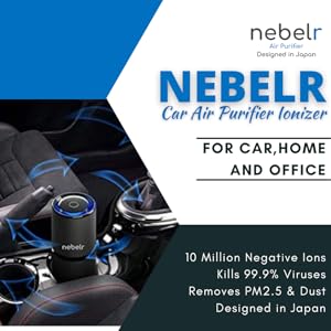 Original Negative Ion generator from Japan producing 10 Million Negative Ions