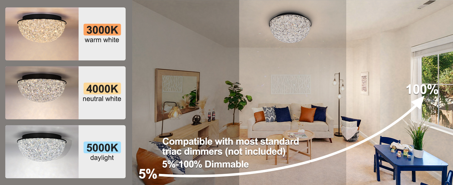 flush mount ceiling light