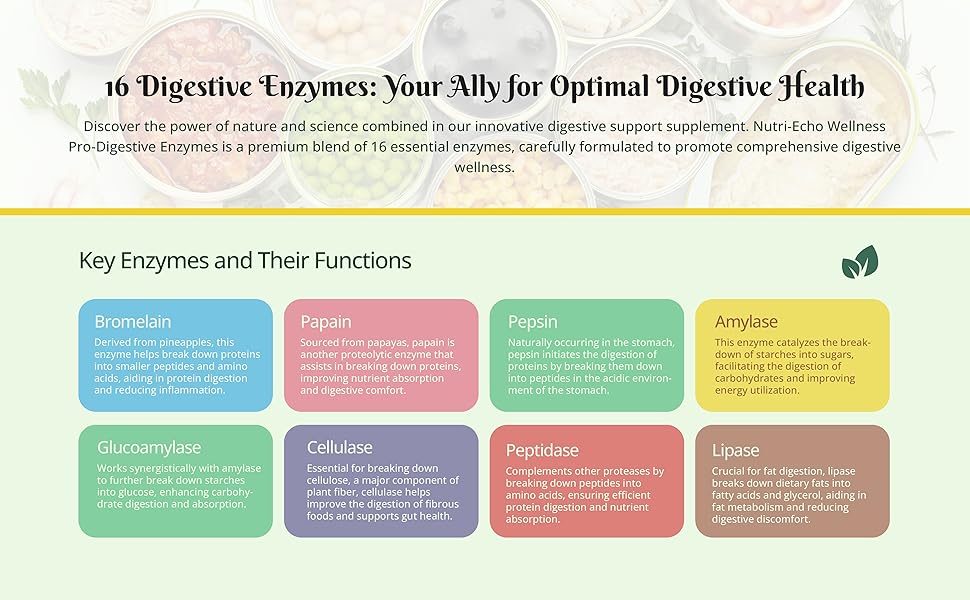 Amazon.com: Nutri-Echo Wellness Pro-Digestive Enzymes with Probiotics