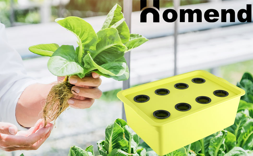Homend Hydroponic System Growing Kit, DWC Deep Water Culture Hydroponic