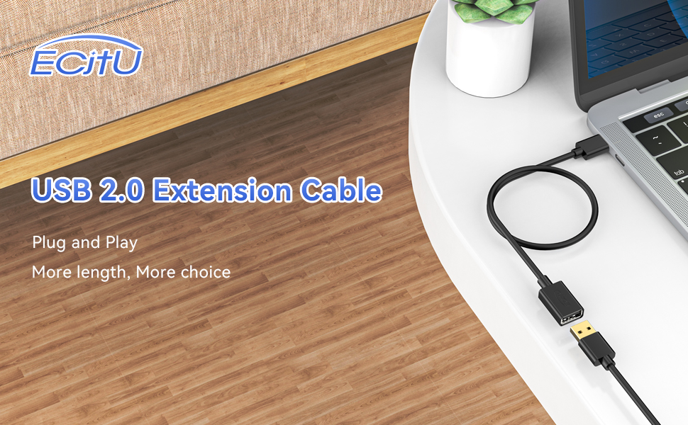 USB2.0 extension cord