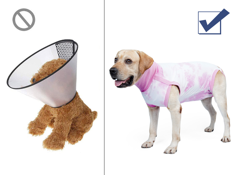 Dotoner Dog Recovery Suit TieDye Pet Recovery Shirt