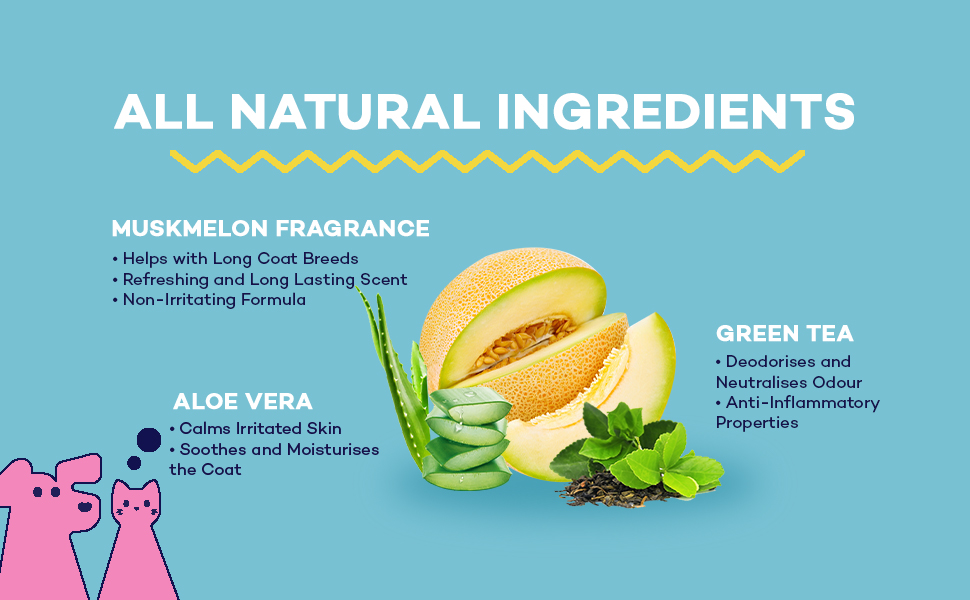 The Good Paws Ruffunzel Long Coat Shampoo and Conditioner Reduces