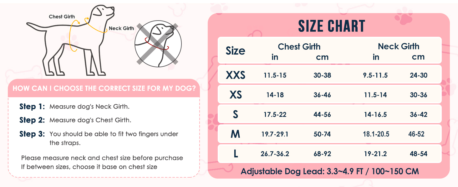 Walking Dog Harness and Leash Set