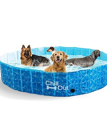 all for paws dog pool