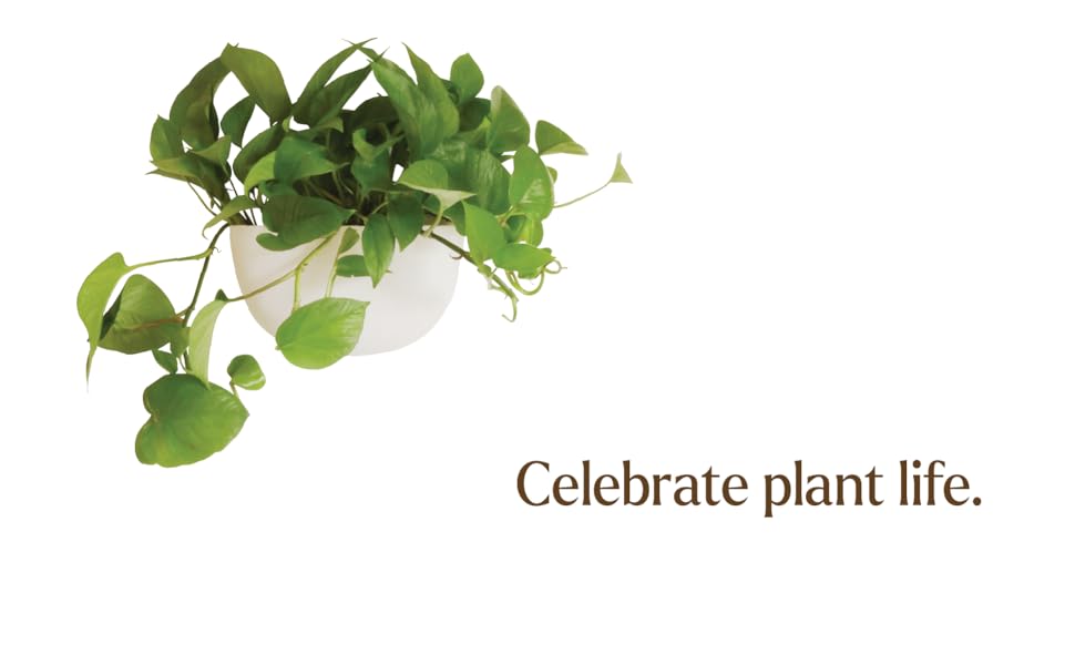 Celebrate plant life 