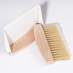Small Dustpan and Brush Set