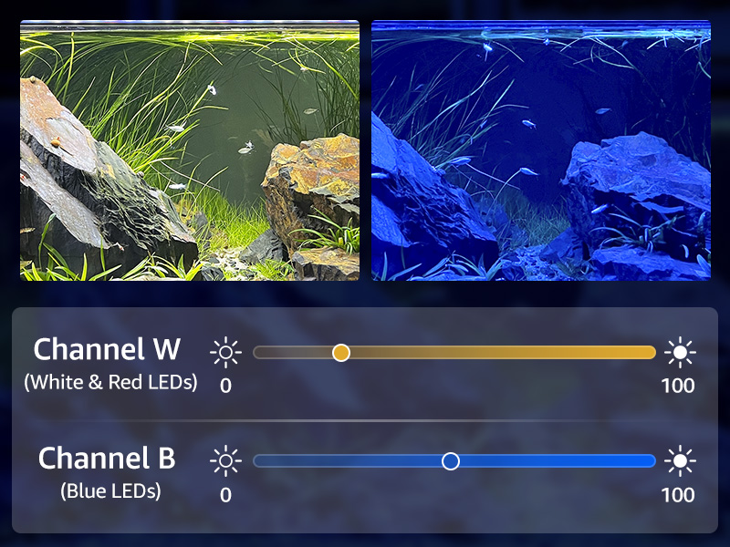 - fish tank light 20 gallon- aquarium light 20 gallon- planted fish tank light- led aquarium light