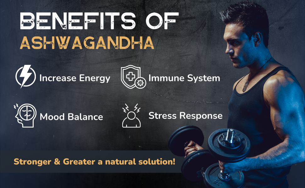 Ashwagandha Root Fenugreek Maca Root Turmeric Root Rhodiola Rosea Root Ginger Root Black Pepper