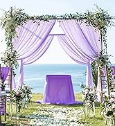 Chiffon Backdrop Curtain