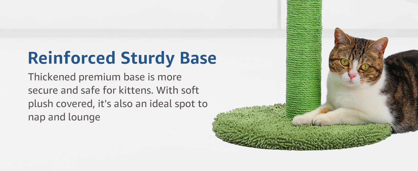 Reinforced Sturdy Base