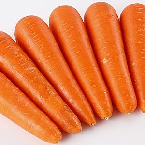 Amazon.co.jp: にんじん 業務用 20kg 箱 L〜2Lサイズ｜中国産