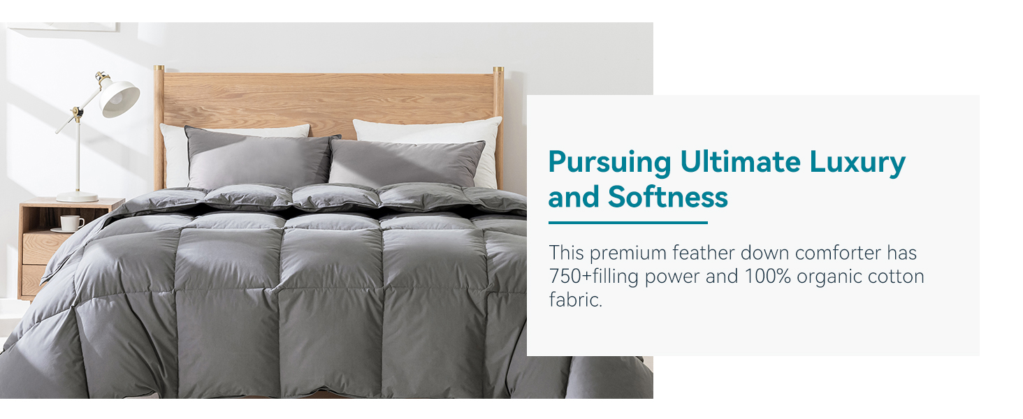 Goose Feather Down Comforter King Size for All Season Sleeping, Hotel Style Bedding, 750+ Fill Power, 100% Organic Co 1d9713b8 1b6d 4397 877b 14647eefa9d6. CR0,0,1464,600 PT0 SX1464 V1