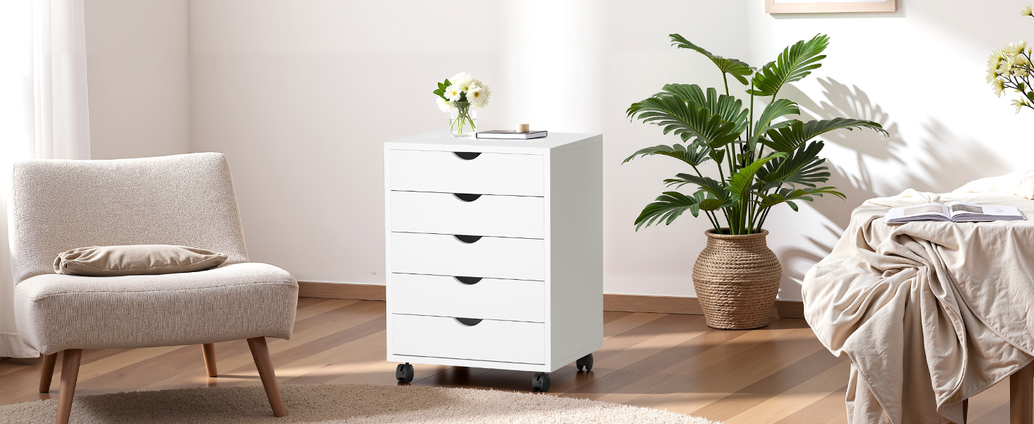 Drawer Cabinet with Wheels