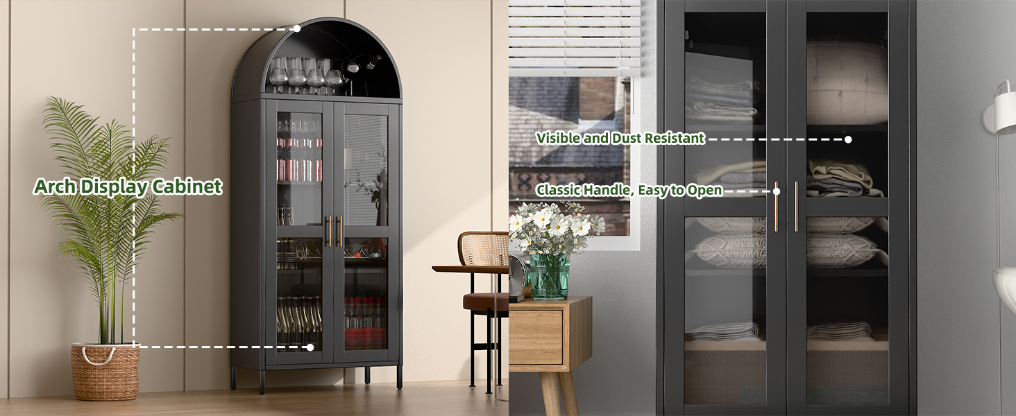 display cabinet with glass doors