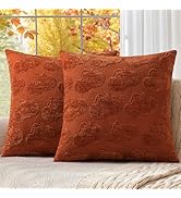 decorUhome Fall Decorative Two Rust Pumpkins Throw Pillow Covers 18x18 Set of 2, Soft Chenille Ja...