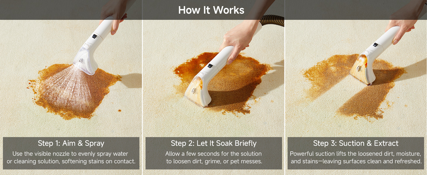 Portable Carpet Cleaner