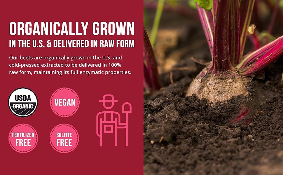 beet root powder, beet juice, beetroot powder