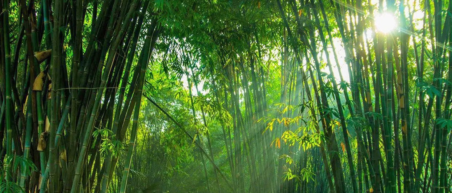 UIELPT Double Layer Large Bread Box for Kitchen Counter