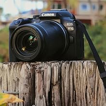 bright, clear 2.36m-dot OLED