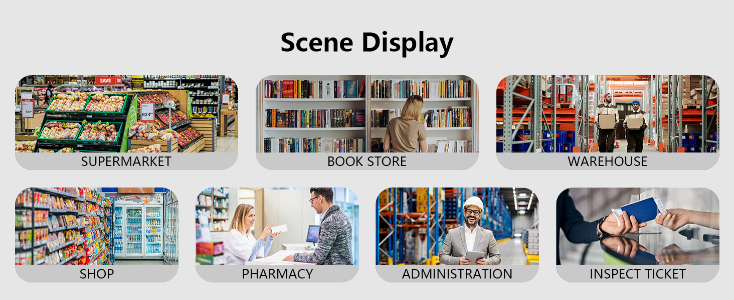 Scene Display