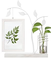 ォトフレーム 植物栽培可