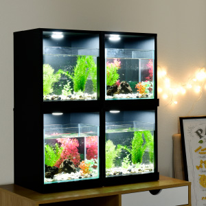 Amazon | SemiSta キューブボックスα アクア LED 増設用 水槽セット Amazon | SemiSta キューブボックスα アクア LED 増設用 水槽セット