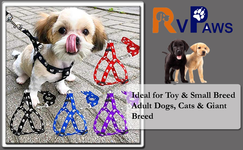 SPN-RECPP B0B147PMX5