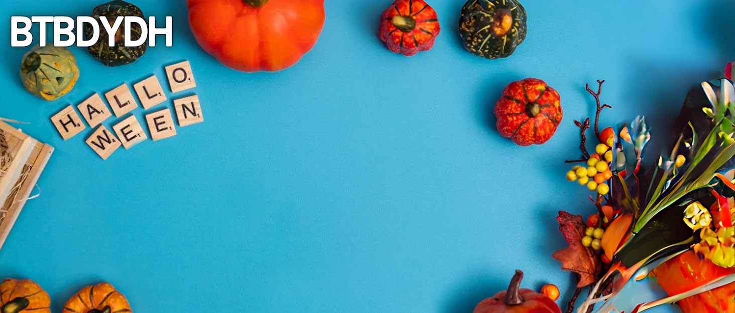 BTBDYDH Halloween Hoodie Zip Jacket Long Sleeve T Shirt Cute Autumn