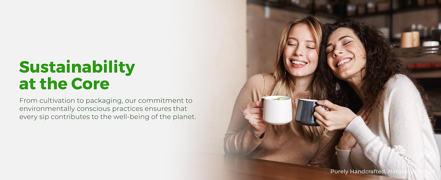 20 Tea Bags super moringa herbal tea