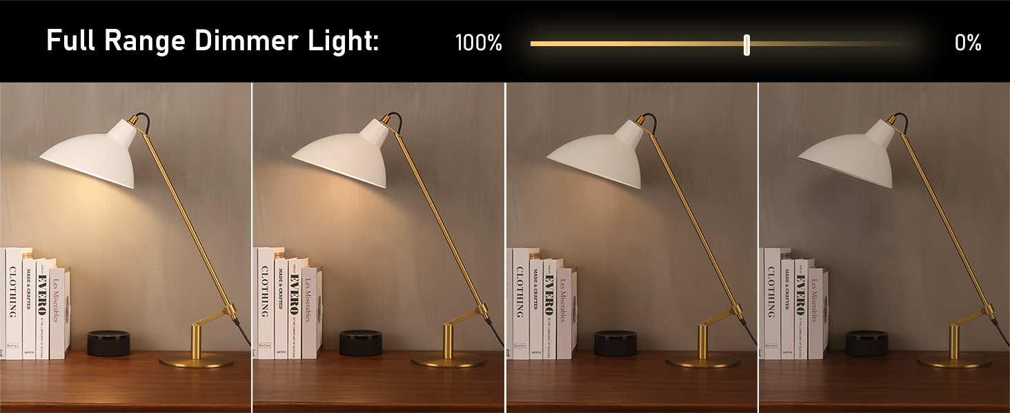Dimmable light
