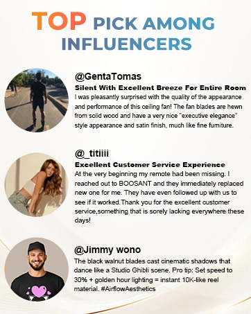 ceiling fan with lights