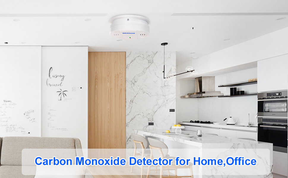 Carbon Monoxide Alarm,CO Alarm Detector Replaceable Batteries with LCD