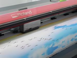 Art Work for Wall Decor