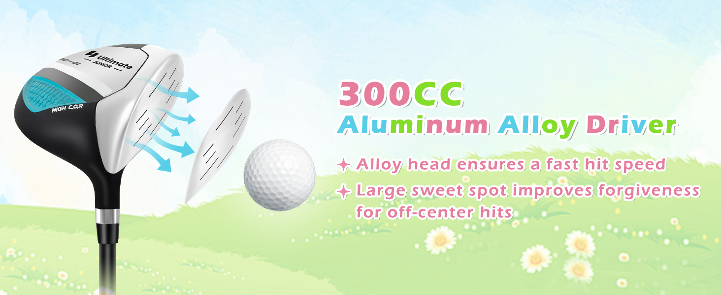 300CC Aluminum Alloy Driver