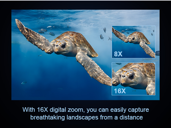 16X Zoom