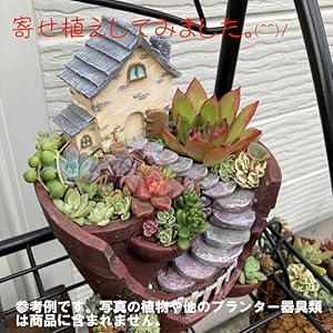 Amazon.co.jp: [Roogo]多肉植物プランター【アンティーク