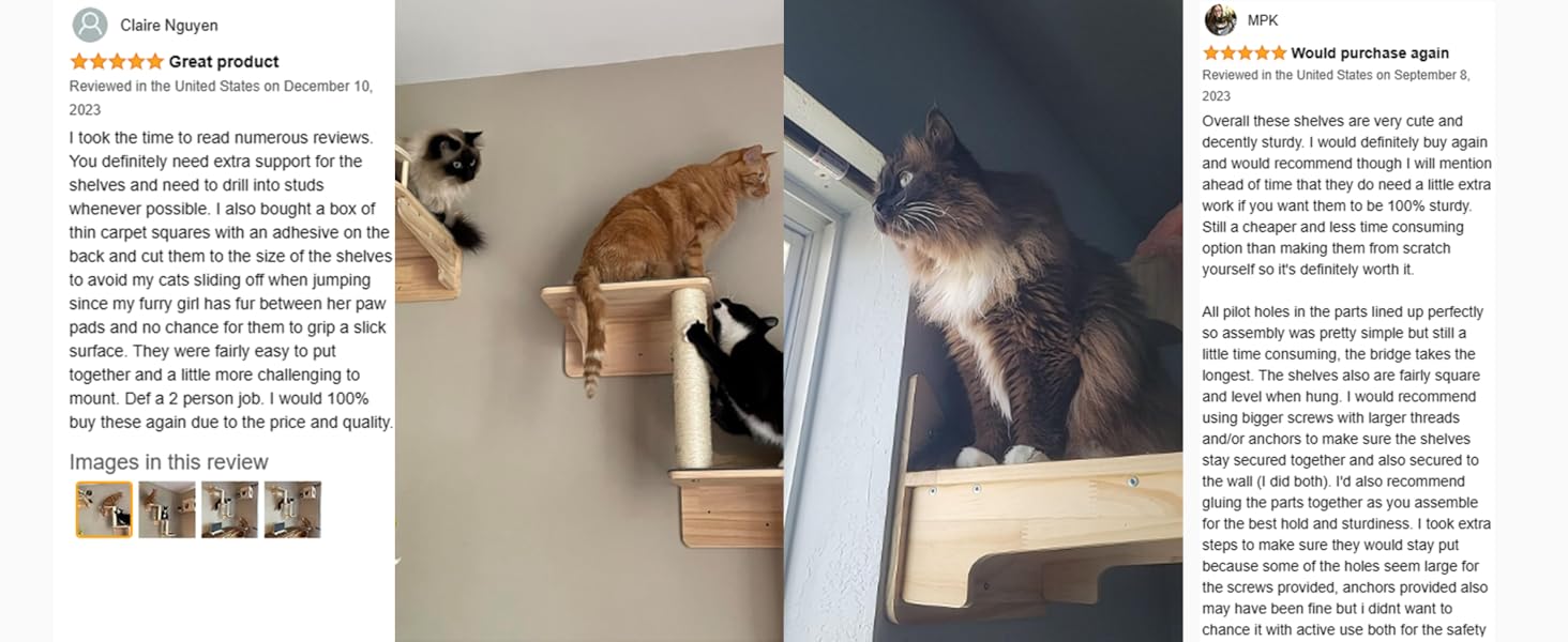 wall mounted cat furniture