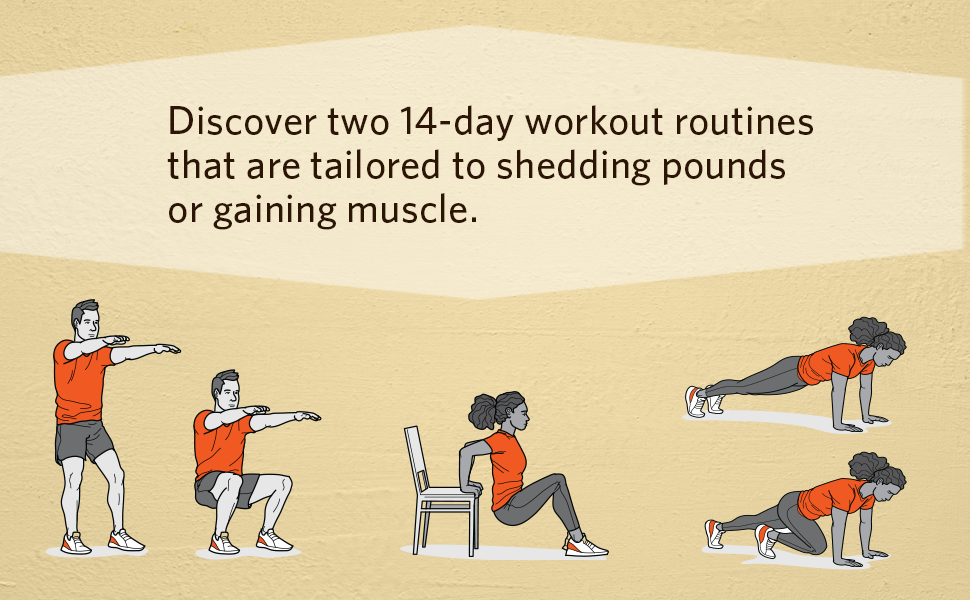 Discover two 14-day workout routines that are tailored to shedding pounds or gaining muscle.