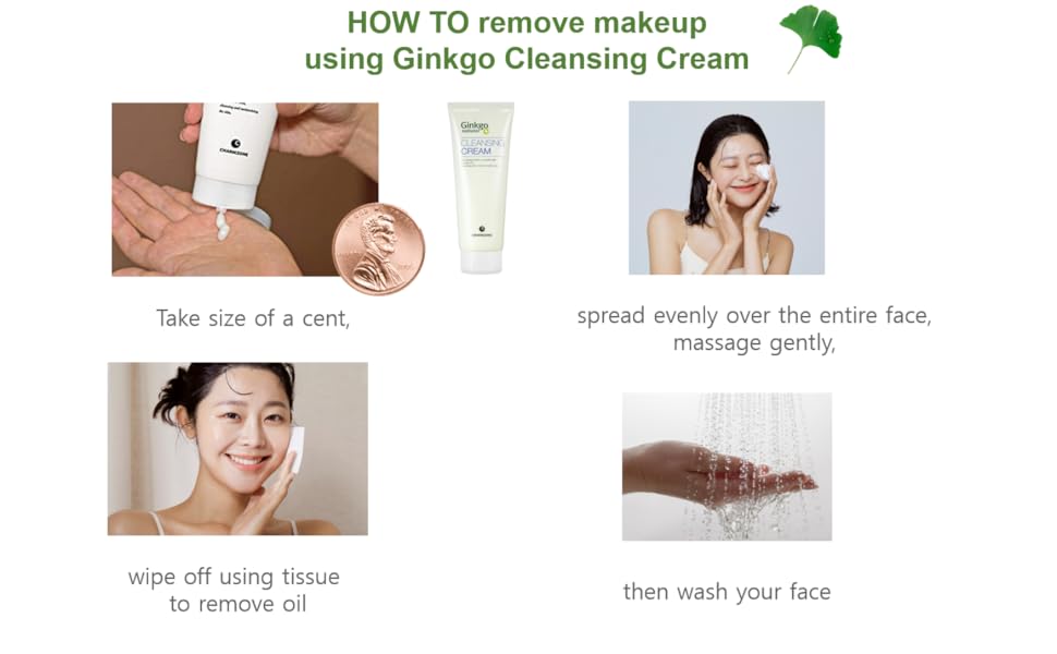 CHARMZONE Ginkgo Natural Cleansing Cream Makeup Remover